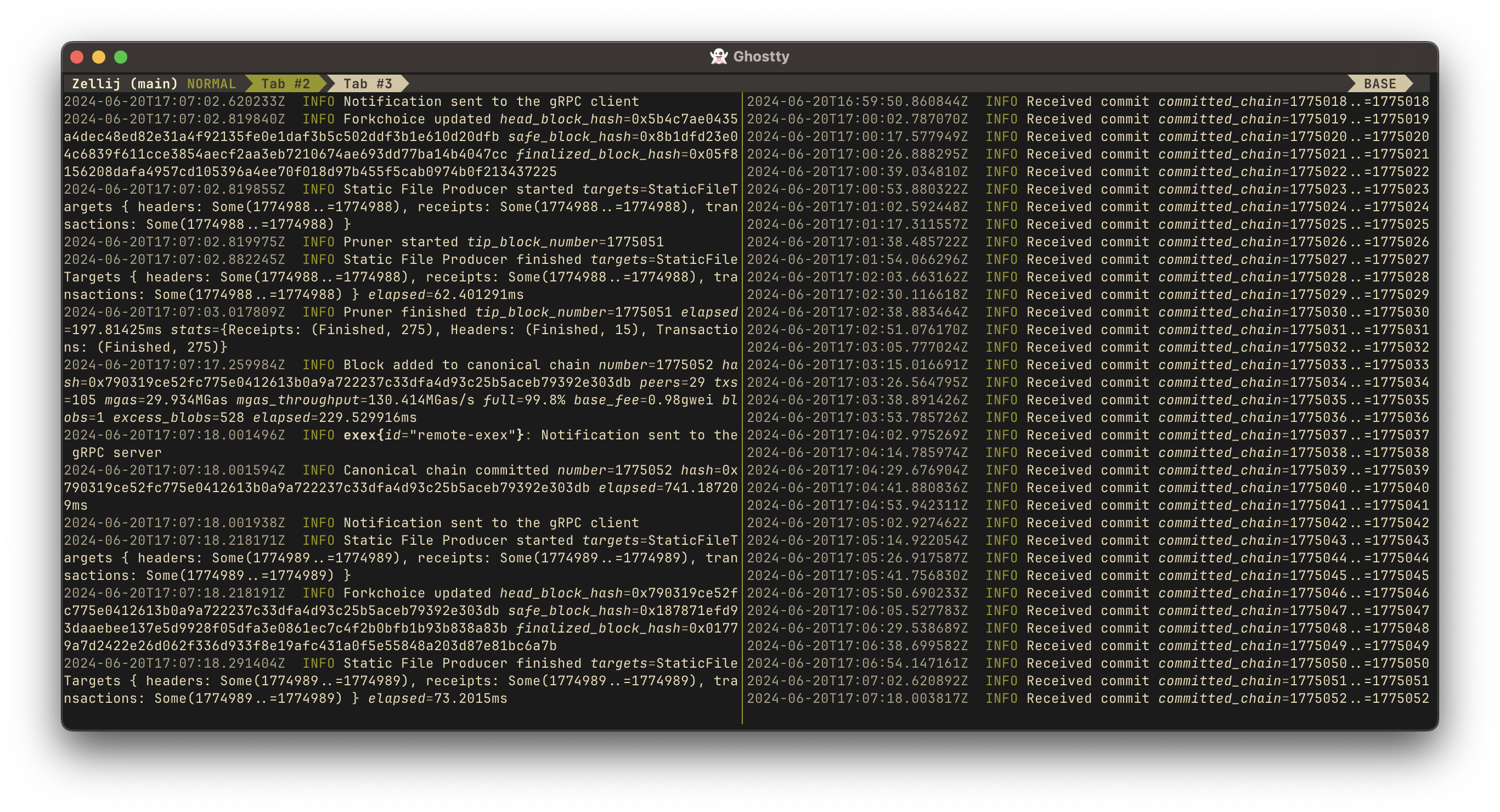 remote_exex